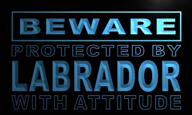 Beware Labrador Neon Light Sign